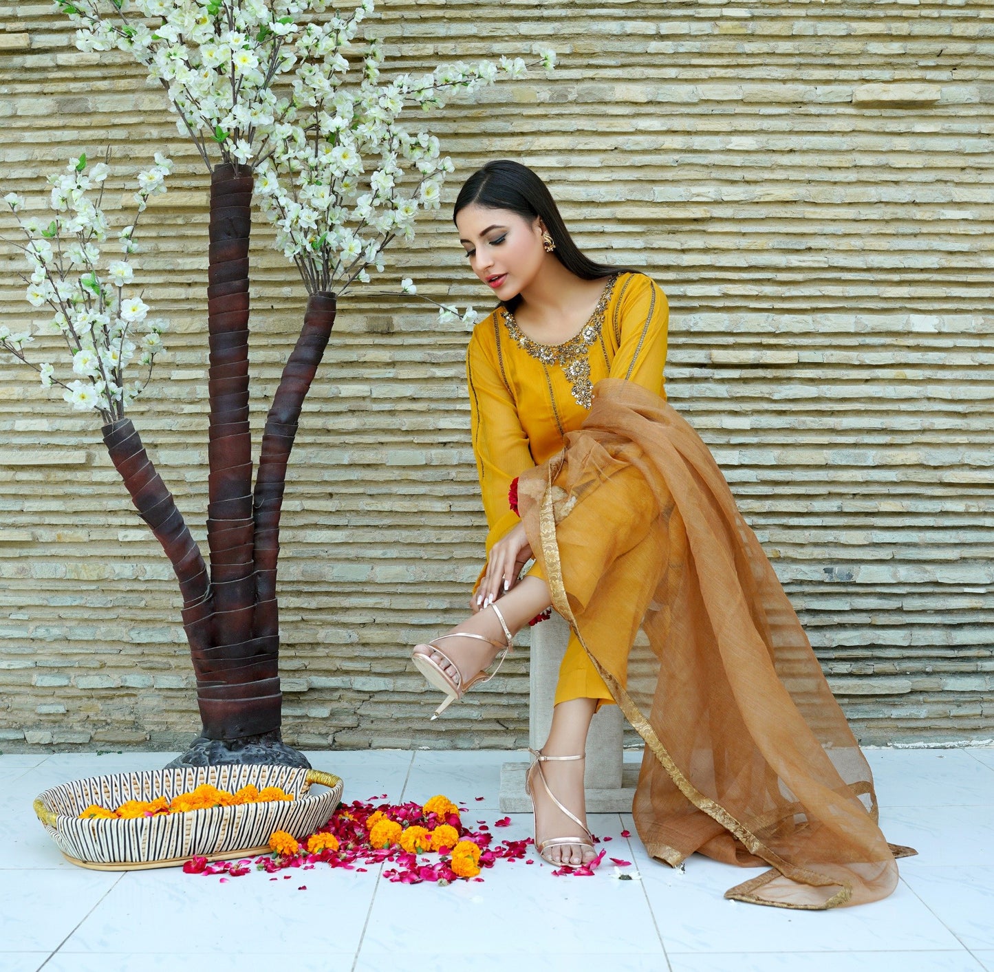 Panelled Chiffon Shirt 03 PC Suit with Malai Pants & Mysori Dupatta - CE20241011