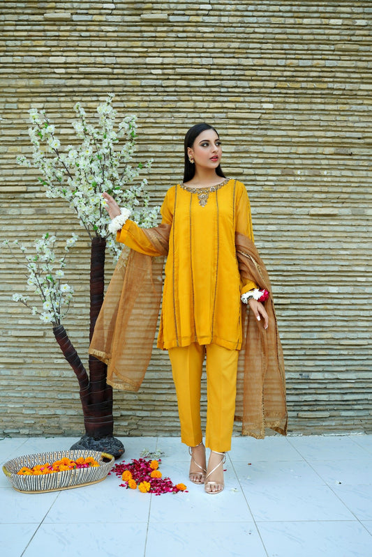 Panelled Chiffon Shirt 03 PC Suit with Malai Pants & Mysori Dupatta - CE20241011