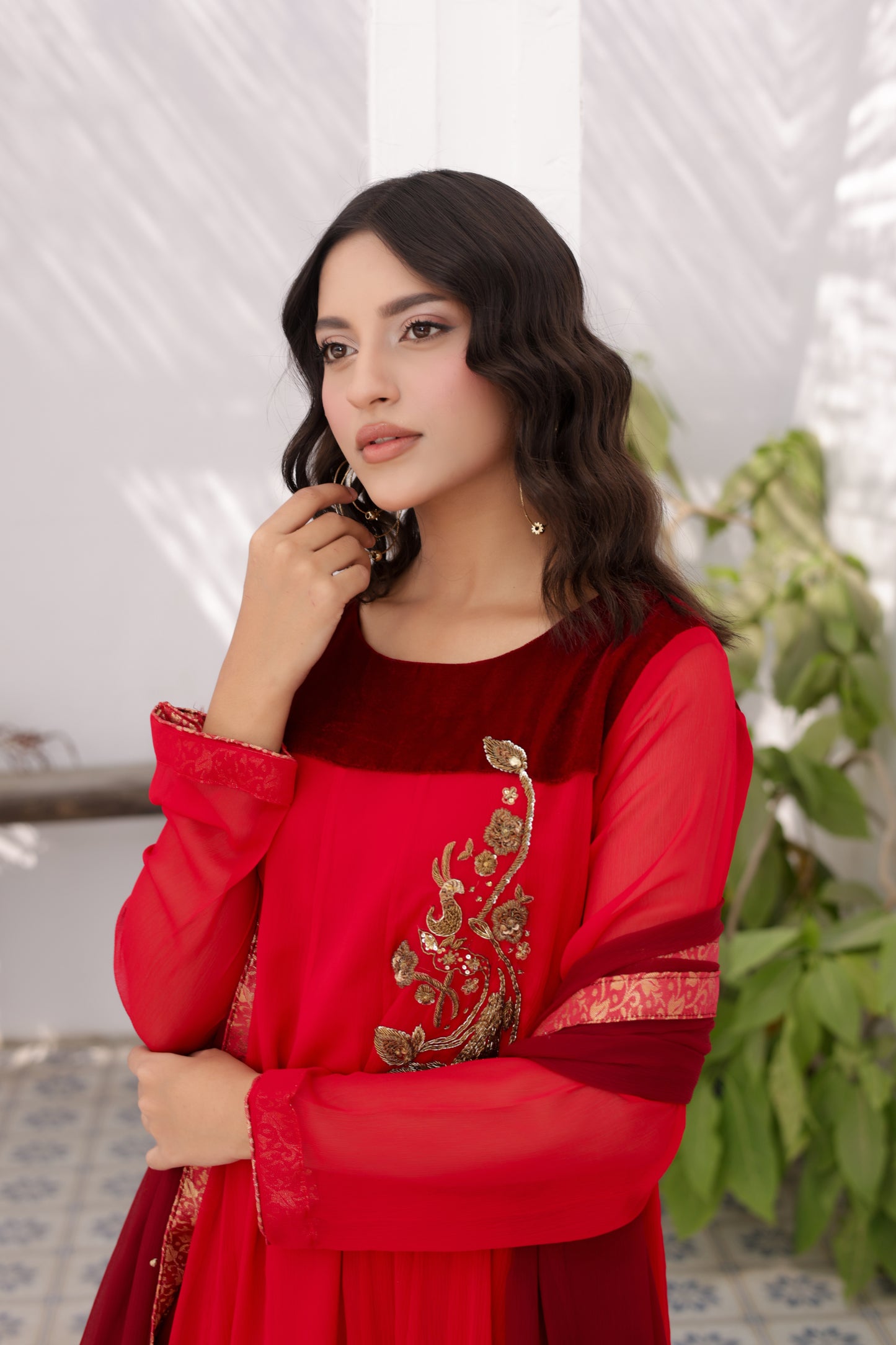 GUL MOHAR - BLAZE (CK20251300)